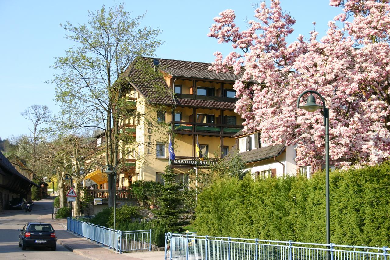 Hotel Salmen 3*